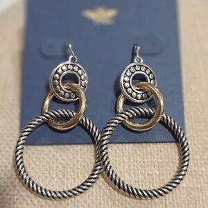 Elegant Silver and Gold Hoop Earrings